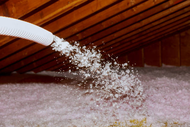 Best Insulation Maintenance and Repair in Port Salerno, FL